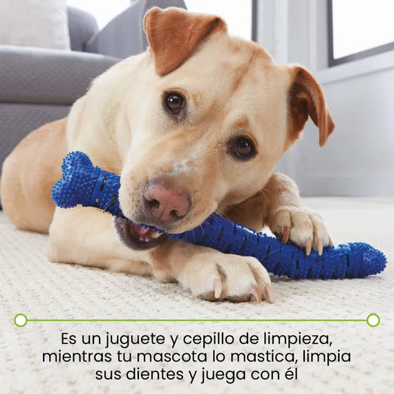 Cepillo de dientes para perro Chewbrush